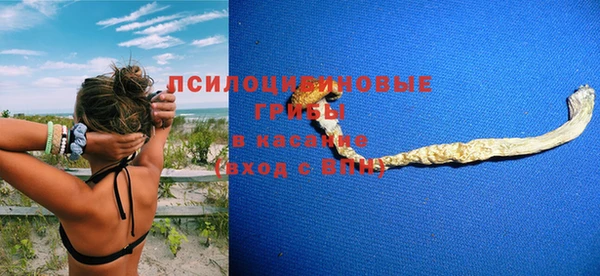 альфа пвп Карпинск