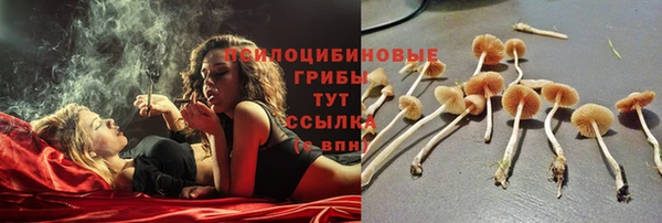 альфа пвп Карпинск