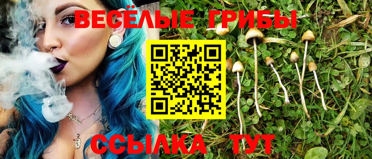 Псилоцибиновые грибы Psilocybine cubensis  Вход с VPN  Псилоцибиновые грибы MAGIC MUSHROOMS  Тольятти 