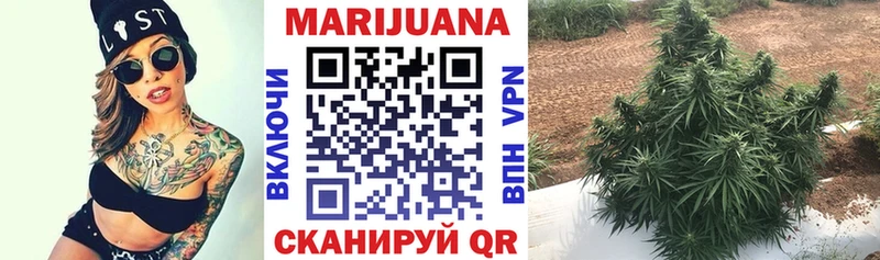Канабис семена  мориарти клад  Тольятти 